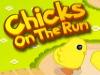 彩色小雞,Chicks On The Run Game