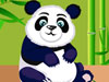飼養熊貓,Panda Care